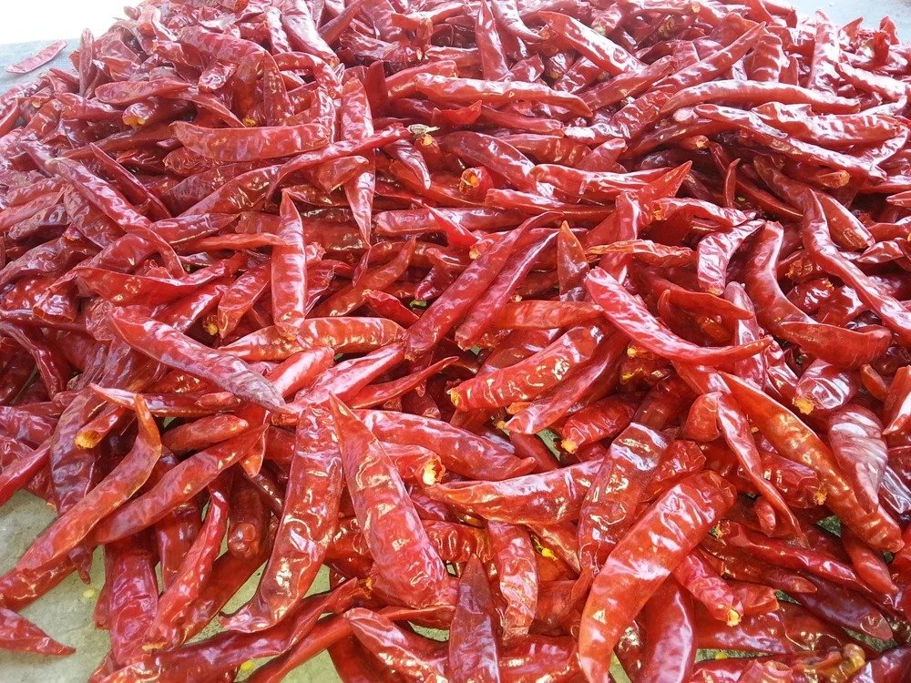 imgi_17_suji-sannam-dry-red-stemless-chilli-1000x1000